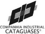 Cataguases Logo